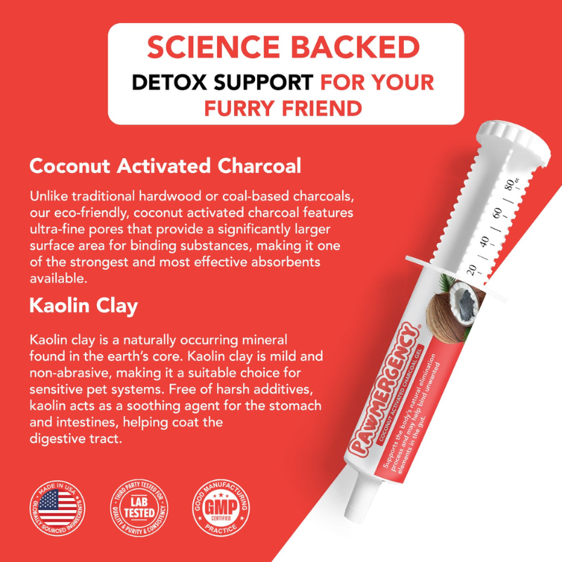 Activated Coconut Charcoal with Kaolin Clay